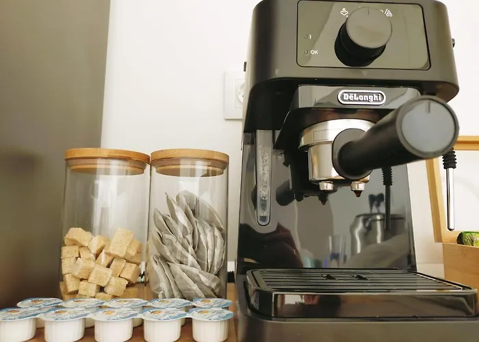 Luca's Forest Temešvár