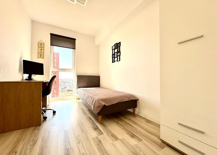 Luca's Forest Temešvár