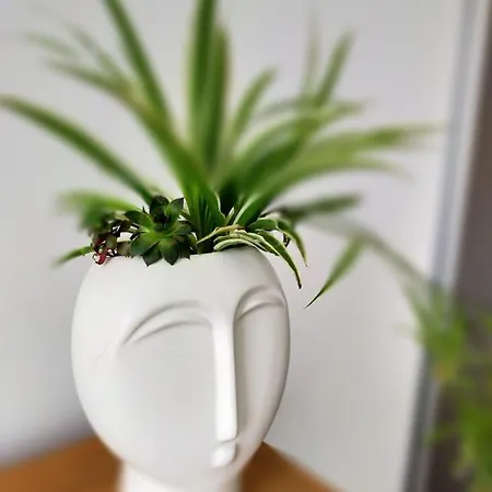 Luca's Forest Appartement Timişoara