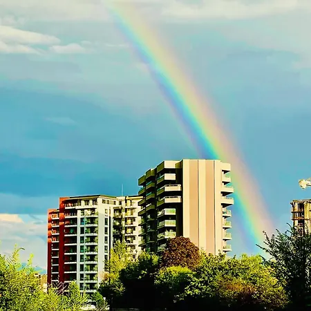 Luca's Forest * Timişoara