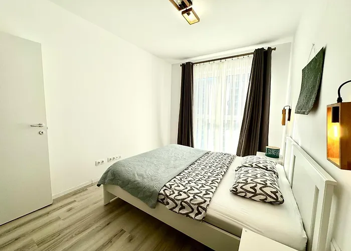 Luca's Forest * Тимишоара